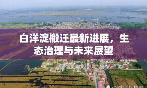 白洋淀搬遷最新進(jìn)展，生態(tài)治理與未來(lái)展望