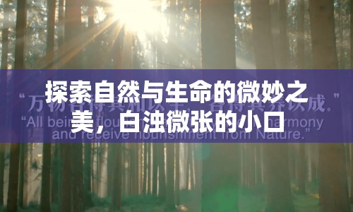 探索自然與生命的微妙之美，白濁微張的小口