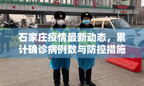 石家莊疫情最新動(dòng)態(tài)，累計(jì)確診病例數(shù)與防控措施全面解讀