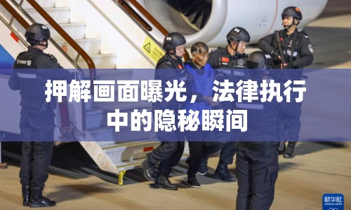 押解畫面曝光，法律執(zhí)行中的隱秘瞬間