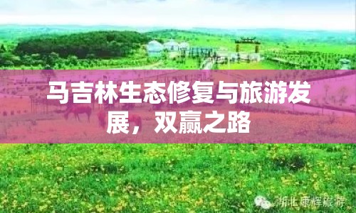 馬吉林生態(tài)修復(fù)與旅游發(fā)展，雙贏之路