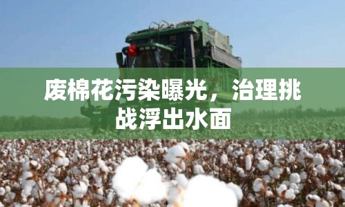 廢棉花污染曝光，治理挑戰(zhàn)浮出水面