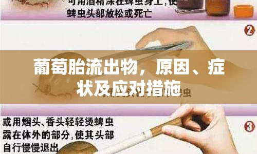 葡萄胎流出物，原因、癥狀及應(yīng)對(duì)措施