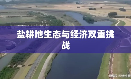 鹽耕地生態(tài)與經(jīng)濟(jì)雙重挑戰(zhàn)