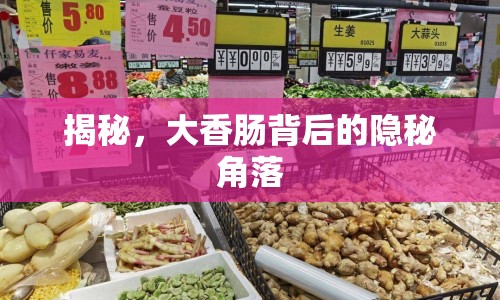 揭秘，大香腸背后的隱秘角落