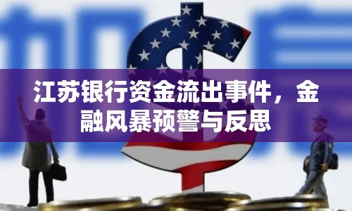 江蘇銀行資金流出事件，金融風(fēng)暴預(yù)警與反思