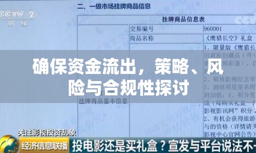 確保資金流出，策略、風(fēng)險(xiǎn)與合規(guī)性探討