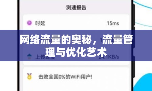 網絡流量的奧秘，流量管理與優(yōu)化藝術