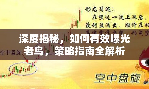 深度揭秘，如何有效曝光老鳥，策略指南全解析