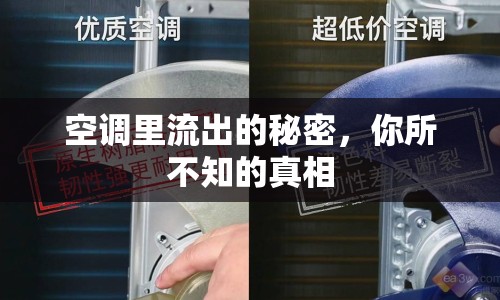 空調里流出的秘密，你所不知的真相