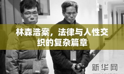林森浩案，法律與人性交織的復(fù)雜篇章