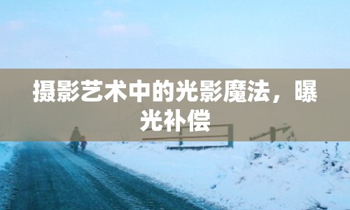 攝影藝術(shù)中的光影魔法，曝光補償