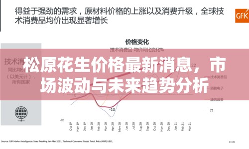 松原花生價(jià)格最新消息，市場(chǎng)波動(dòng)與未來趨勢(shì)分析