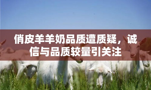 俏皮羊羊奶品質(zhì)遭質(zhì)疑，誠信與品質(zhì)較量引關(guān)注