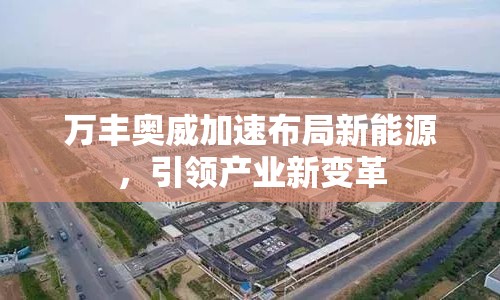 萬豐奧威加速布局新能源，引領(lǐng)產(chǎn)業(yè)新變革