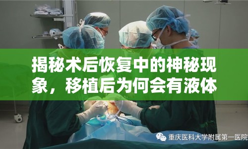 揭秘術(shù)后恢復(fù)中的神秘現(xiàn)象，移植后為何會(huì)有液體流出？