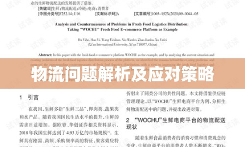 物流問題解析及應(yīng)對策略