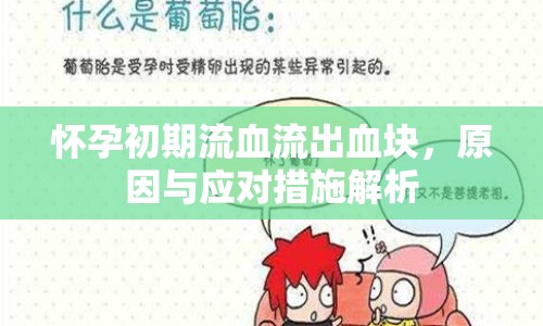 懷孕初期流血流出血塊，原因與應(yīng)對措施解析