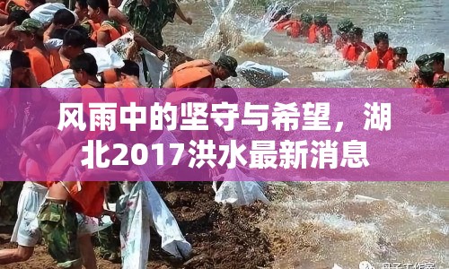 風(fēng)雨中的堅(jiān)守與希望，湖北2017洪水最新消息