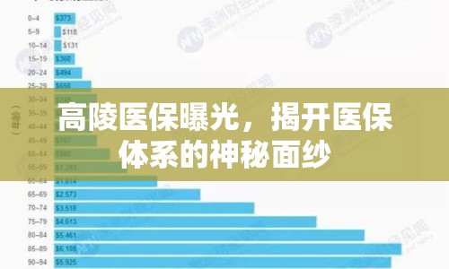 高陵醫(yī)保曝光，揭開醫(yī)保體系的神秘面紗