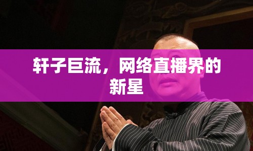 軒子巨流，網(wǎng)絡(luò)直播界的新星