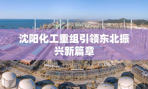 沈陽化工重組引領(lǐng)東北振興新篇章