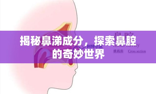 揭秘鼻涕成分，探索鼻腔的奇妙世界