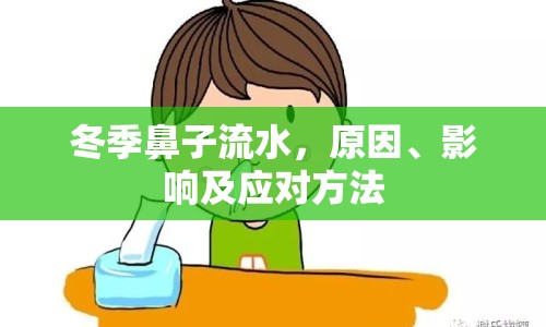 冬季鼻子流水，原因、影響及應(yīng)對(duì)方法