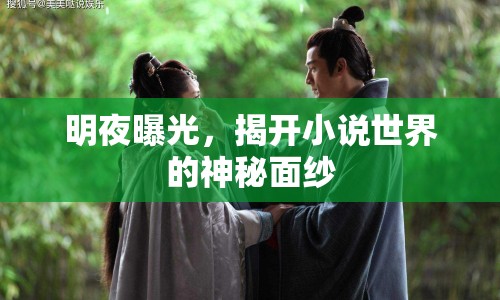 明夜曝光，揭開小說世界的神秘面紗