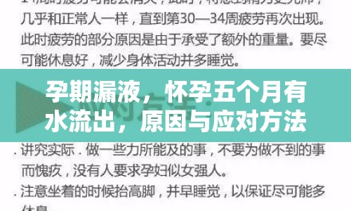 孕期漏液，懷孕五個(gè)月有水流出，原因與應(yīng)對(duì)方法全解析