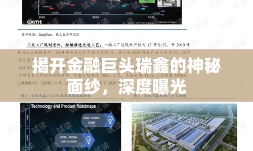 揭開金融巨頭瑞鑫的神秘面紗，深度曝光