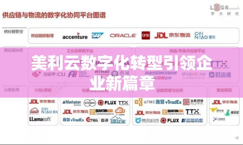 美利云數(shù)字化轉型引領企業(yè)新篇章