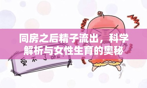 同房之后精子流出，科學(xué)解析與女性生育的奧秘