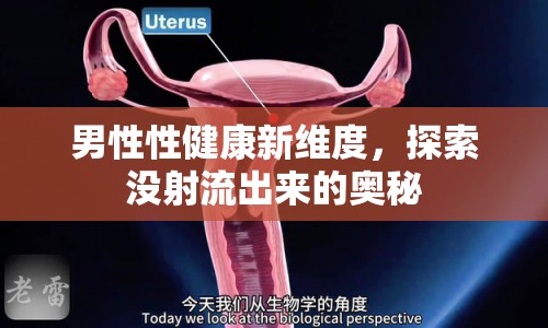 男性性健康新維度，探索沒射流出來的奧秘