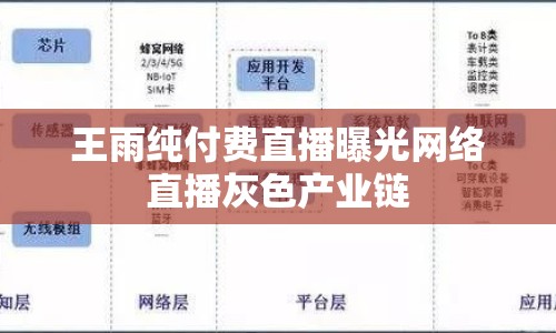 王雨純付費直播曝光網(wǎng)絡(luò)直播灰色產(chǎn)業(yè)鏈