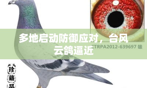 多地啟動(dòng)防御應(yīng)對(duì)，臺(tái)風(fēng)云鴿逼近