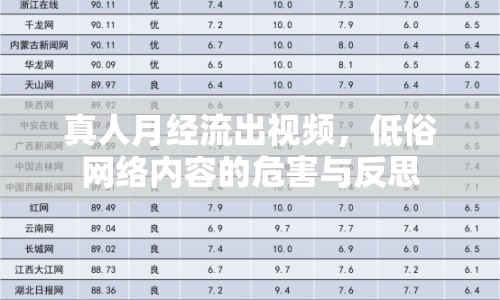 真人月經(jīng)流出視頻，低俗網(wǎng)絡(luò)內(nèi)容的危害與反思