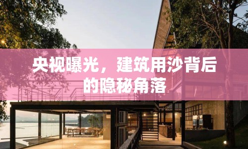 央視曝光，建筑用沙背后的隱秘角落