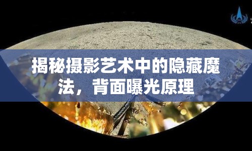 揭秘攝影藝術(shù)中的隱藏魔法，背面曝光原理