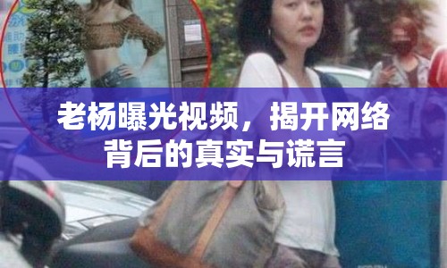 老楊曝光視頻，揭開(kāi)網(wǎng)絡(luò)背后的真實(shí)與謊言