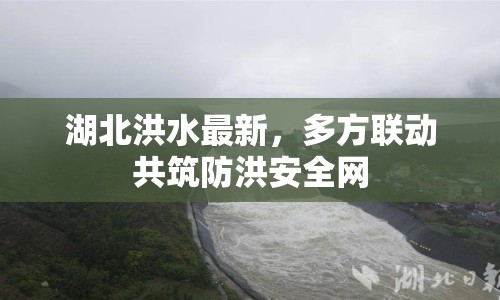 湖北洪水最新，多方聯(lián)動(dòng)共筑防洪安全網(wǎng)