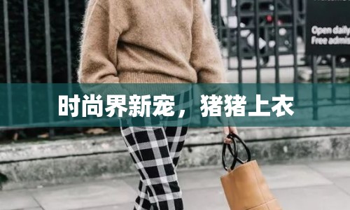 時(shí)尚界新寵，豬豬上衣