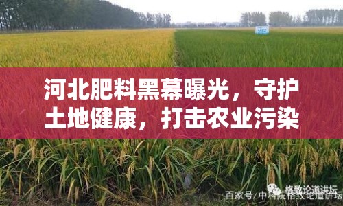 河北肥料黑幕曝光，守護土地健康，打擊農(nóng)業(yè)污染