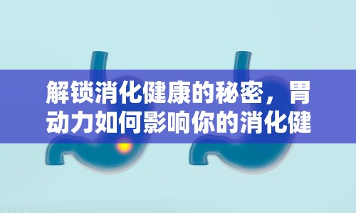解鎖消化健康的秘密，胃動力如何影響你的消化健康