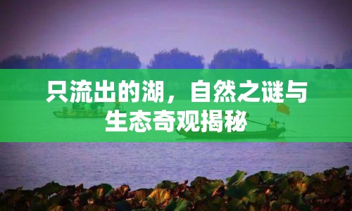 只流出的湖，自然之謎與生態(tài)奇觀揭秘