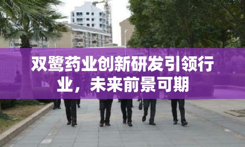 雙鷺?biāo)帢I(yè)創(chuàng)新研發(fā)引領(lǐng)行業(yè)，未來前景可期