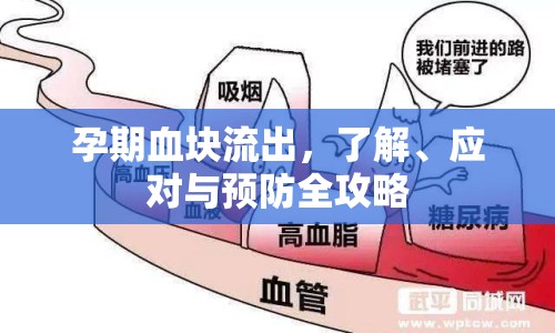 孕期血塊流出，了解、應(yīng)對(duì)與預(yù)防全攻略