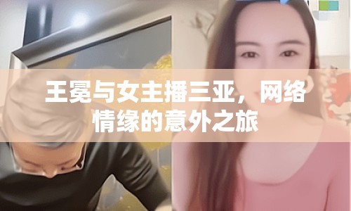 王冕與女主播三亞，網(wǎng)絡(luò)情緣的意外之旅