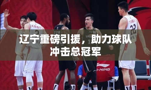 遼寧重磅引援，助力球隊(duì)沖擊總冠軍