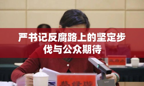 嚴(yán)書記反腐路上的堅(jiān)定步伐與公眾期待
